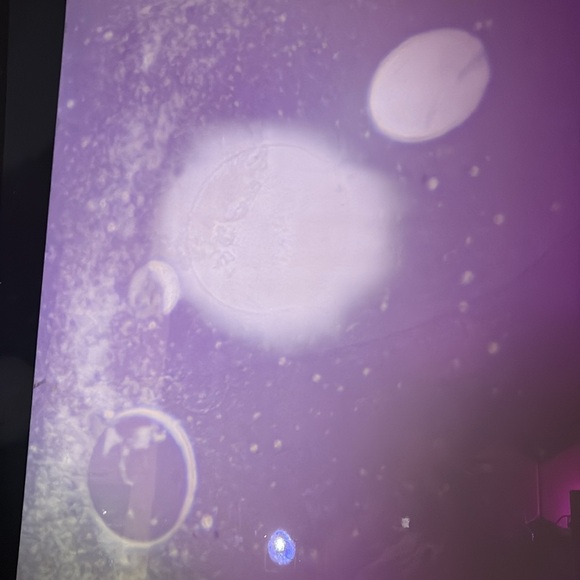 Projector light - Picture 2 of 4